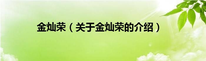 金灿荣（关于金灿荣的介绍）