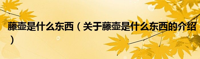 藤壶是什么东西（关于藤壶是什么东西的介绍）