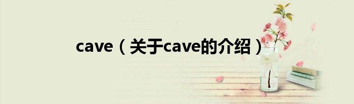 cave（关于cave的介绍）