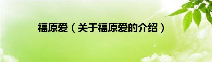 福原爱（关于福原爱的介绍）
