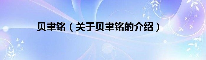 贝聿铭（关于贝聿铭的介绍）
