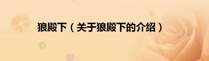 狼殿下（关于狼殿下的介绍）