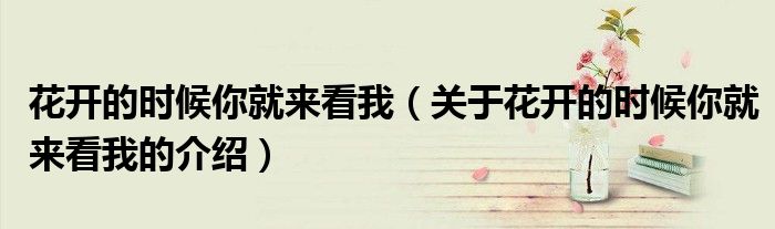 花开的时候你就来看我（关于花开的时候你就来看我的介绍）