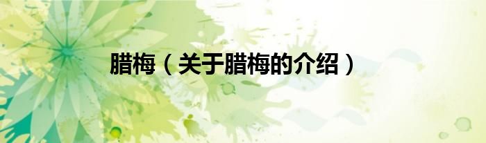 腊梅（关于腊梅的介绍）