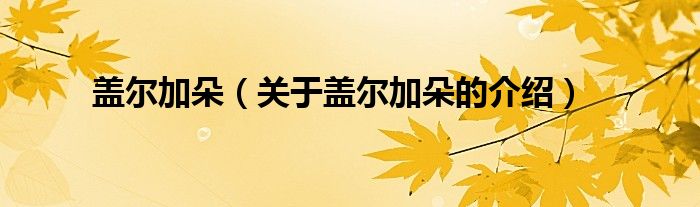盖尔加朵（关于盖尔加朵的介绍）