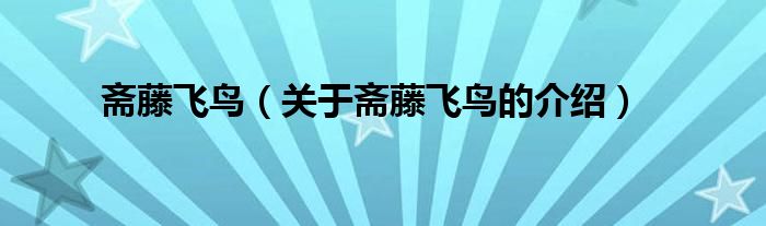 斋藤飞鸟（关于斋藤飞鸟的介绍）