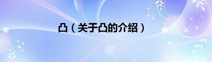 凸（关于凸的介绍）