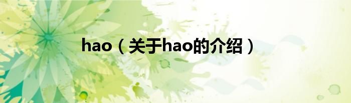 hao（关于hao的介绍）