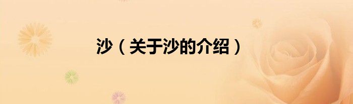 沙（关于沙的介绍）
