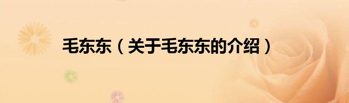 毛东东（关于毛东东的介绍）