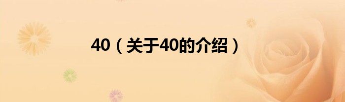 40（关于40的介绍）