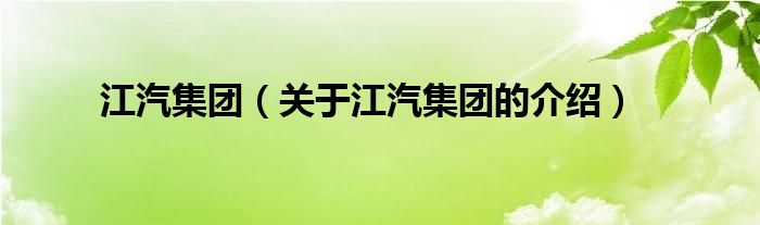 江汽集团（关于江汽集团的介绍）
