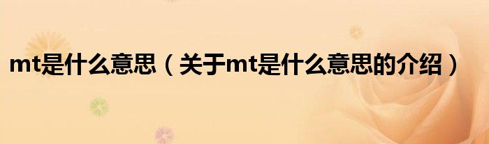 mt是什么意思（关于mt是什么意思的介绍）