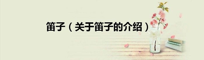 笛子（关于笛子的介绍）