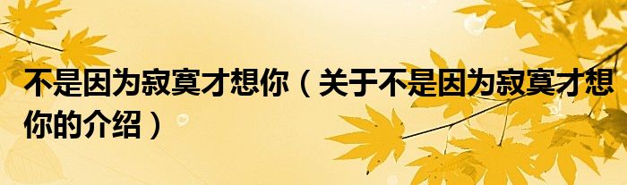 不是因为寂寞才想你（关于不是因为寂寞才想你的介绍）