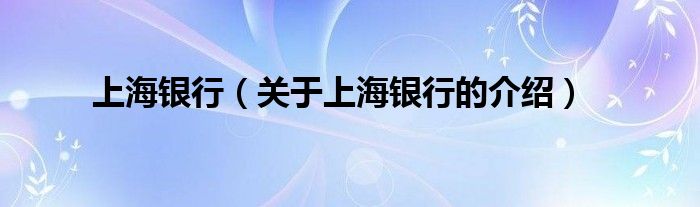 上海银行（关于上海银行的介绍）