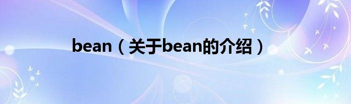 bean（关于bean的介绍）