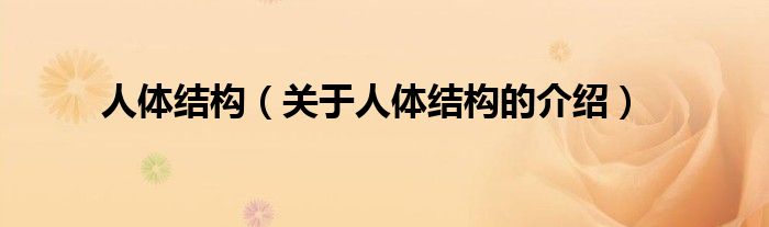 人体结构（关于人体结构的介绍）