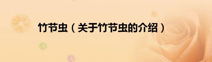 竹节虫（关于竹节虫的介绍）