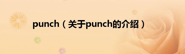 punch（关于punch的介绍）