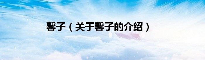馨子（关于馨子的介绍）