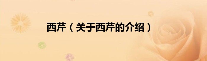 西芹（关于西芹的介绍）