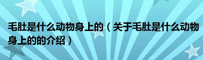 毛肚是什么动物身上的（关于毛肚是什么动物身上的的介绍）