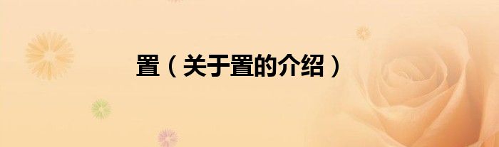 置（关于置的介绍）
