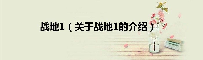 战地1（关于战地1的介绍）