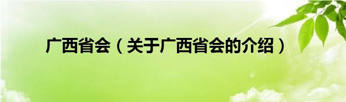 广西省会（关于广西省会的介绍）