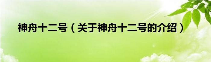神舟十二号（关于神舟十二号的介绍）