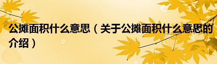 公摊面积什么意思（关于公摊面积什么意思的介绍）