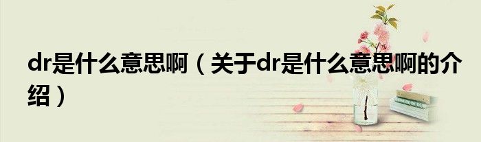 dr是什么意思啊（关于dr是什么意思啊的介绍）
