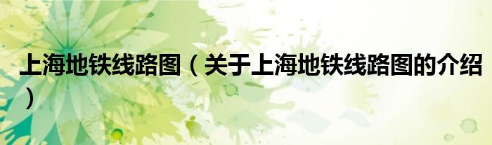 上海地铁线路图（关于上海地铁线路图的介绍）