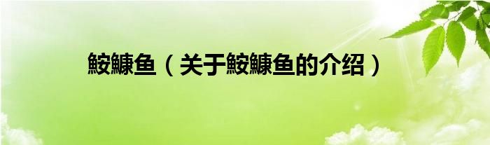 鮟鱇鱼（关于鮟鱇鱼的介绍）