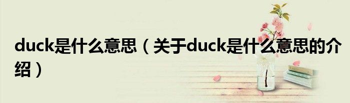 duck是什么意思（关于duck是什么意思的介绍）