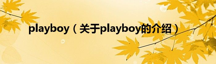 playboy（关于playboy的介绍）