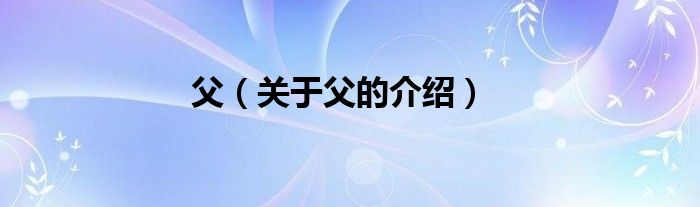 父（关于父的介绍）