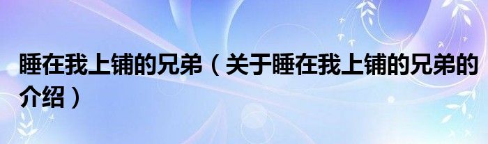 睡在我上铺的兄弟（关于睡在我上铺的兄弟的介绍）