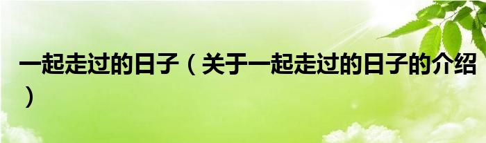 一起走过的日子（关于一起走过的日子的介绍）