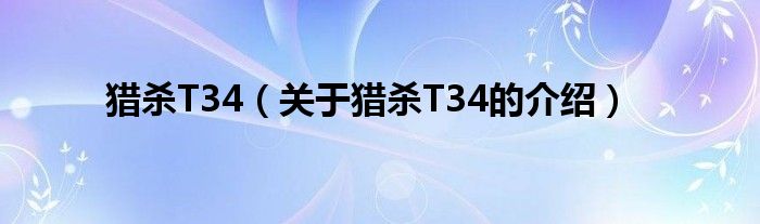 猎杀T34（关于猎杀T34的介绍）