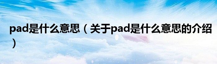 pad是什么意思（关于pad是什么意思的介绍）