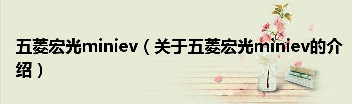 五菱宏光miniev（关于五菱宏光miniev的介绍）