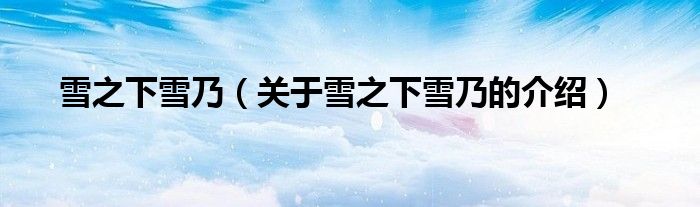 雪之下雪乃（关于雪之下雪乃的介绍）