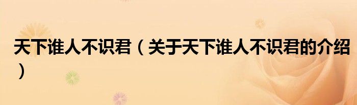 天下谁人不识君（关于天下谁人不识君的介绍）