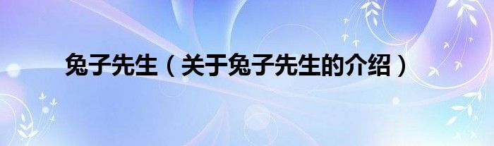 兔子先生（关于兔子先生的介绍）