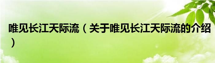 唯见长江天际流（关于唯见长江天际流的介绍）