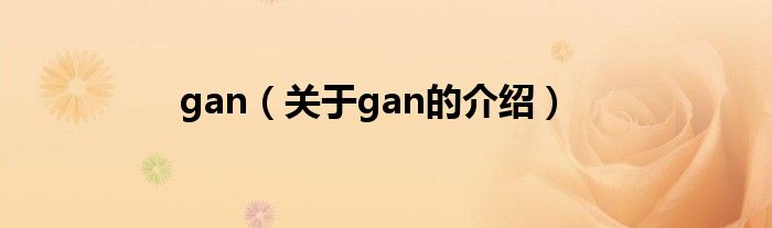 gan（关于gan的介绍）
