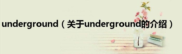underground（关于underground的介绍）