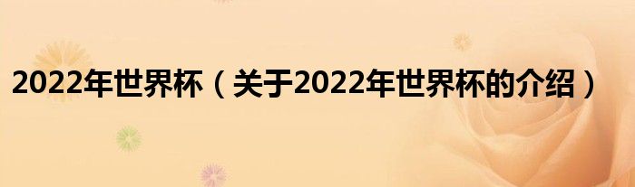 2022年世界杯（关于2022年世界杯的介绍）